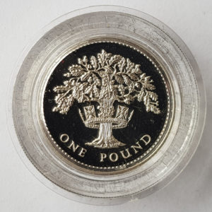 Royal Mint Silver Proof One Pound